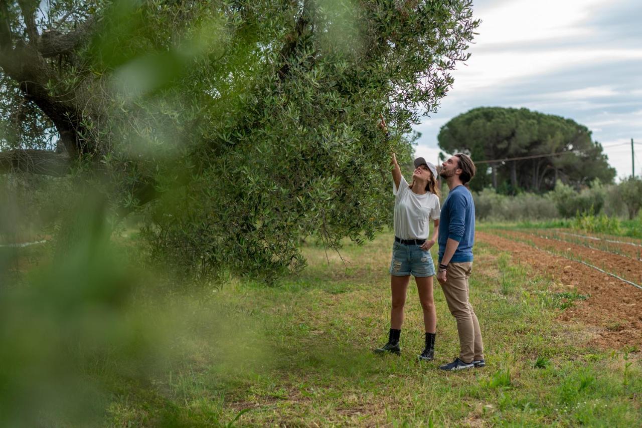 Agriturismo La Banchella Scarlino Ngoại thất bức ảnh