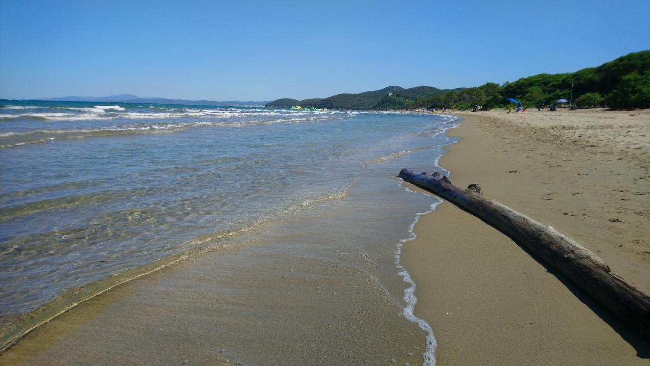 Agriturismo La Banchella Scarlino Ngoại thất bức ảnh