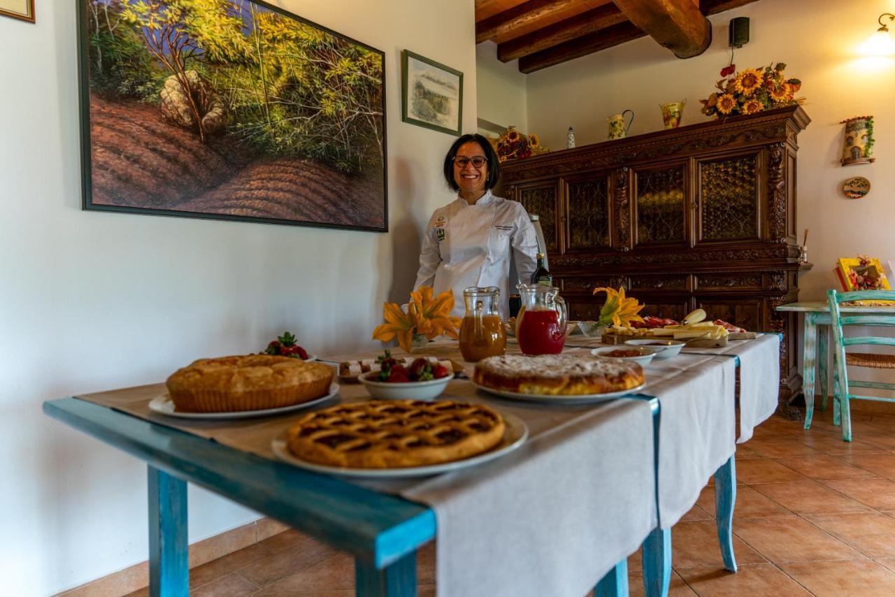 Agriturismo La Banchella Scarlino Ngoại thất bức ảnh